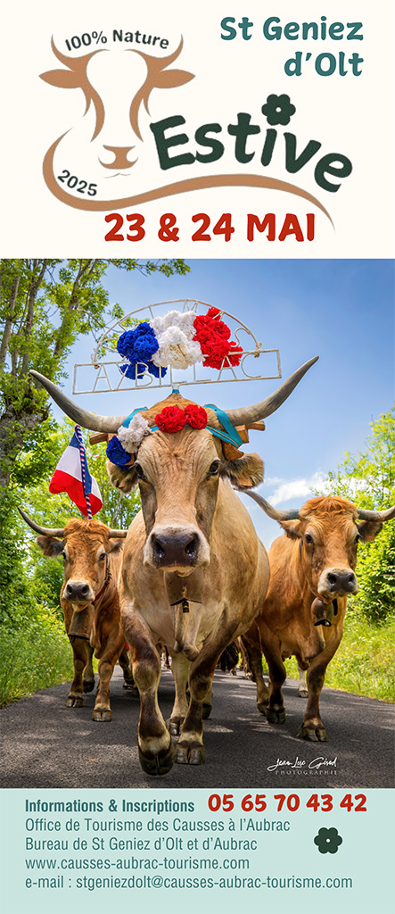 Transhumance à Saint Geniez d'Olt et d'Aubrac