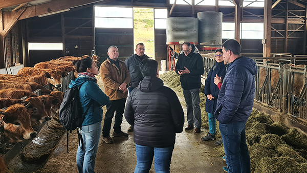Marque Valeurs Parc pour la viande bovine : le travail est engagé - PNR Aubrac