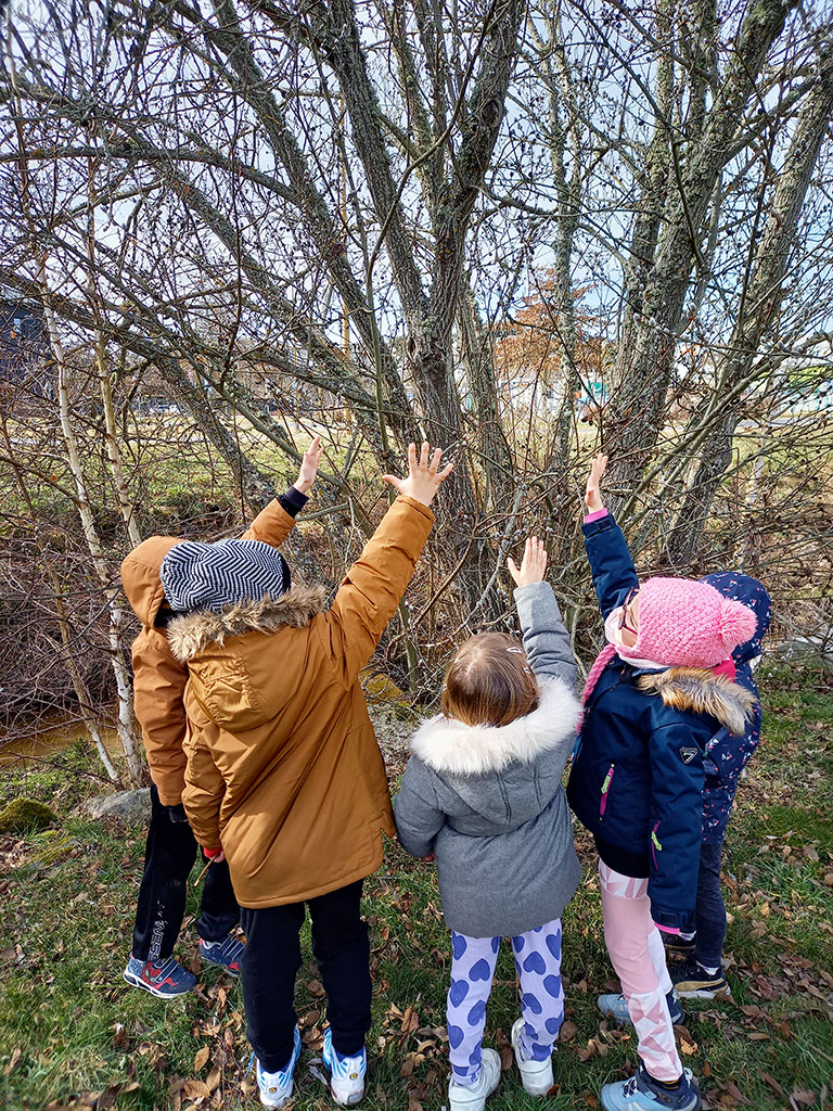 École du Parc 2025 à Saint Chély d'Apcher