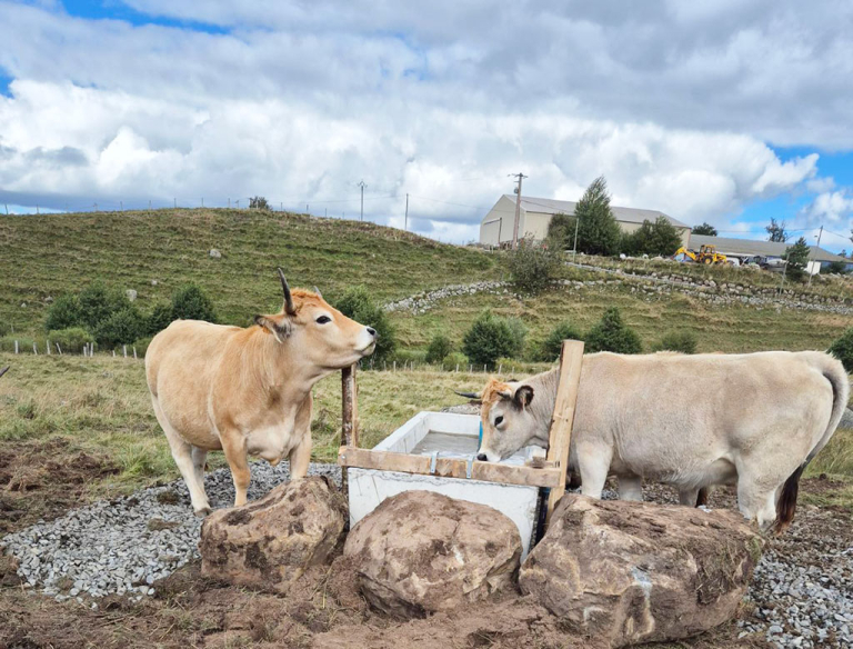 Abreuvoir gravitaire installé sur le Bès à Nasbinals - PNR Aubrac