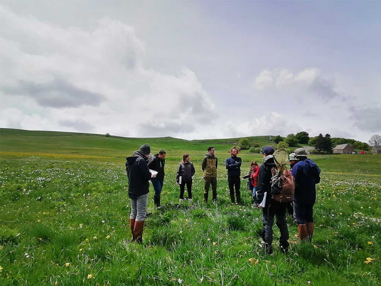 Concours des prairies à narcisses 2025 - PNR Aubrac