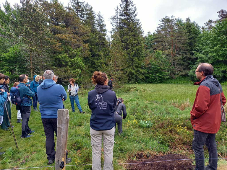Journée Ambassadeurs du Parc #2 "Comprendre l'importance des milieux humides" - PNR Aubrac
