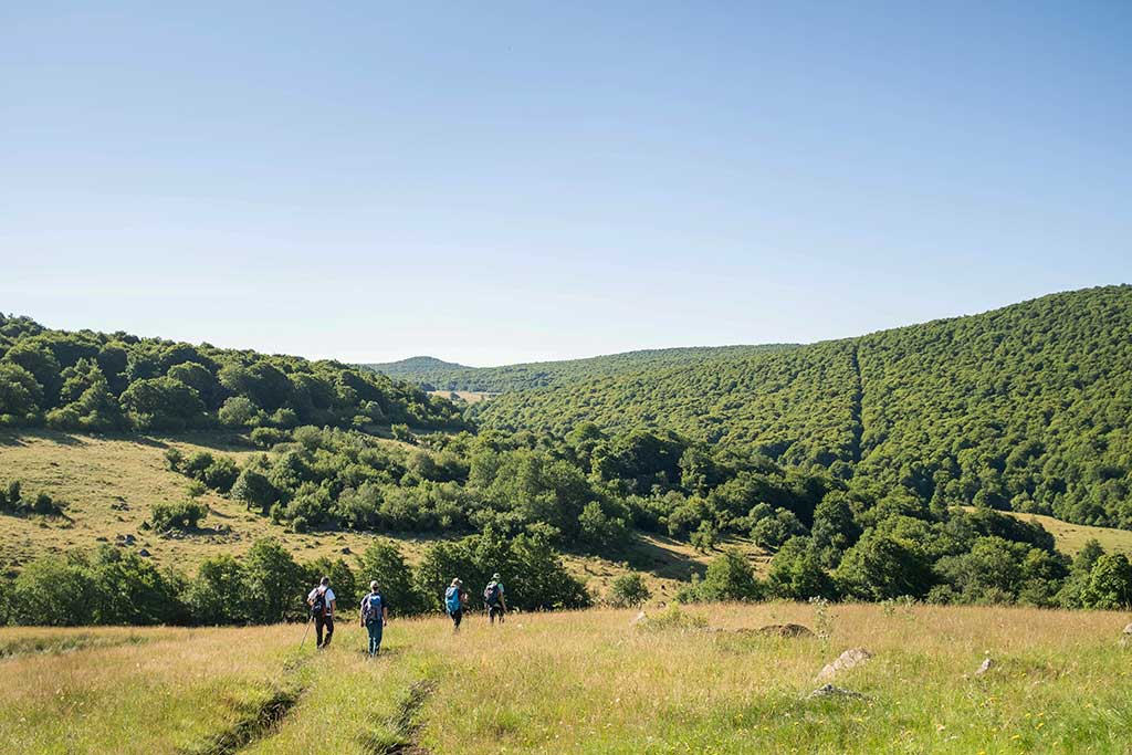 Randonnée en Aubrac - S. Malgouyres