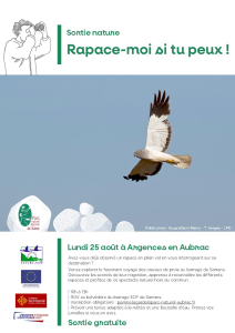 Rapace-moi si tu peux !