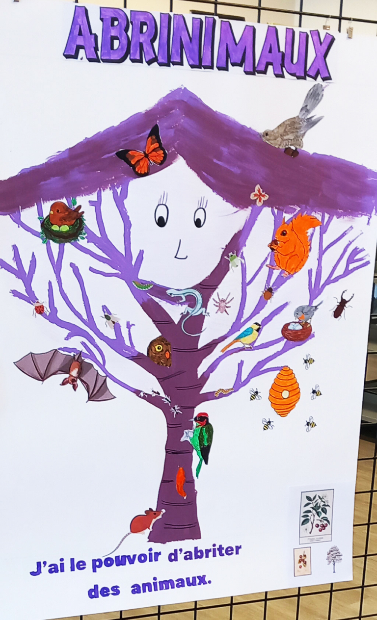 L'École du Parc s'expose à la médiathèque de la Viadène - PNR Aubrac