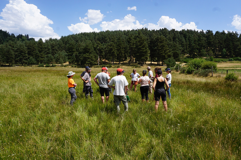 Journée technique prairies humides - PNR Aubrac