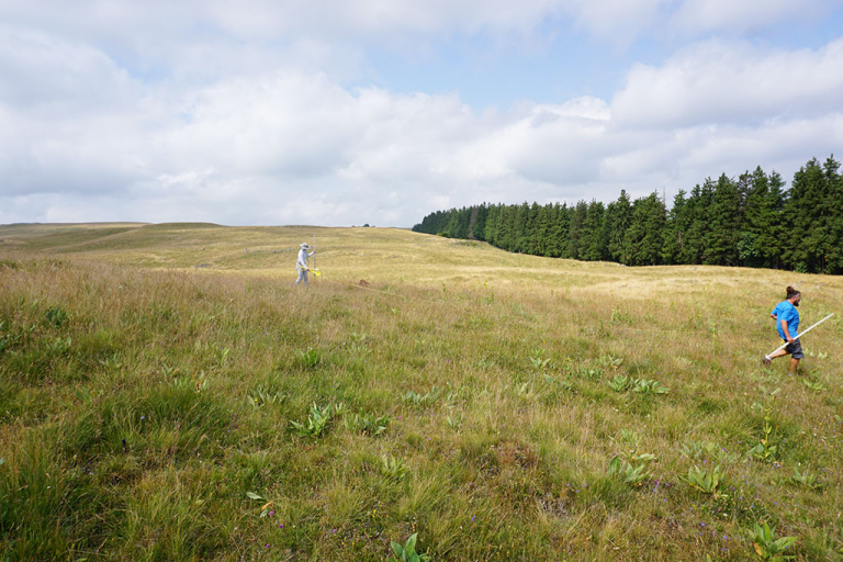 Observatoire des prairies de l'Aubrac - PNR Aubrac