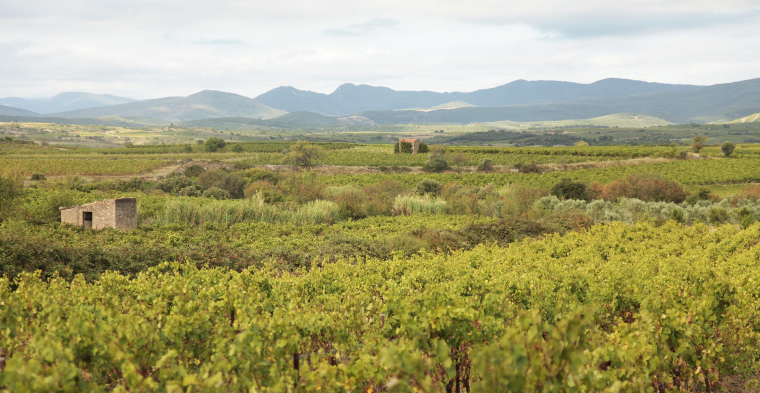 Cheminot Vigneron - A. Moisescot