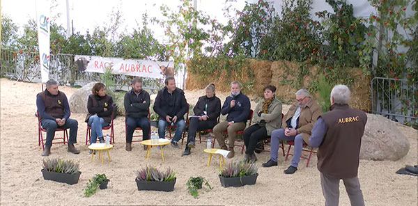 Concours national Aubrac - 27 septembre 2025