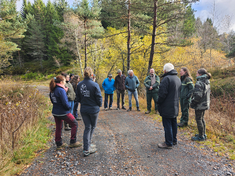 Formation eau et foret - F. Lamy COFOR15