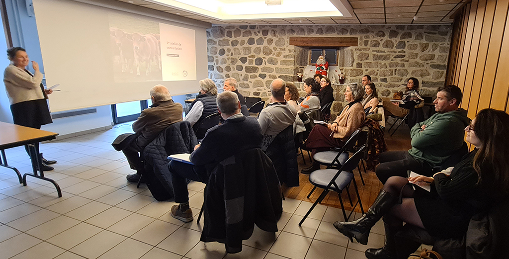 1er atelier de concertation de l'Observatoire économique de la filière viande bovine le 25 novembre 2025 à Nasbinals - PNR Aubrac