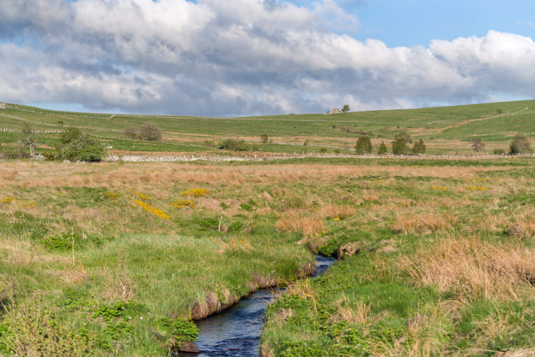 Ruisseau de Ruols - JS Caron