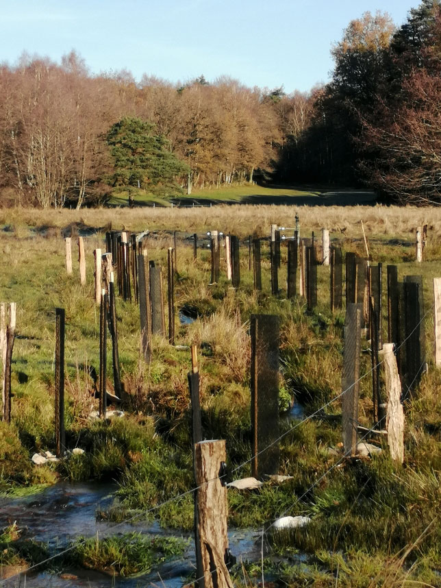 Travaux 2025 du programme de gestion des affluents de la Truyère - PNR Aubrac