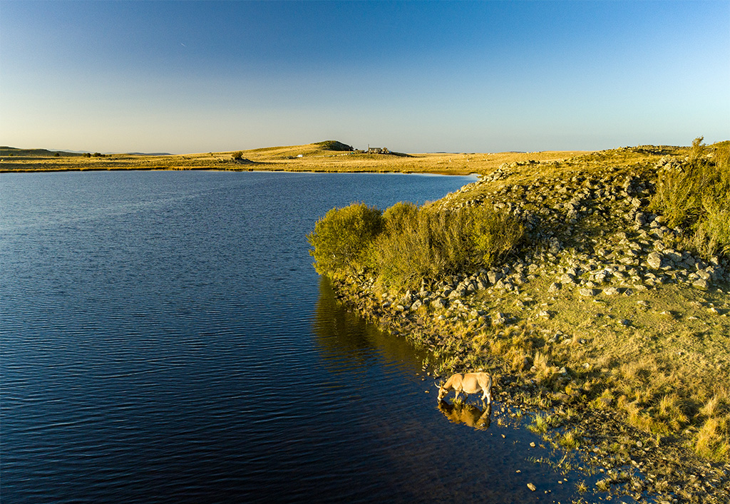 Lac de Born - D. Morin