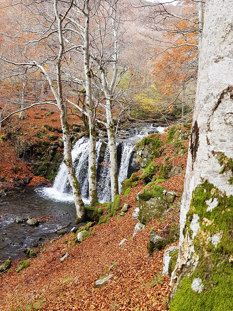 École du Parc 2025-2026 au Foyer de vie de Saint Geniez d'Olt - PNR aubrac