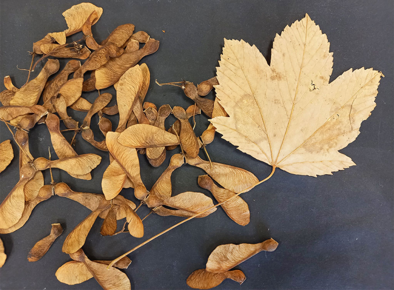 École du Parc 2025-2026 à Banassac - PNR aubrac