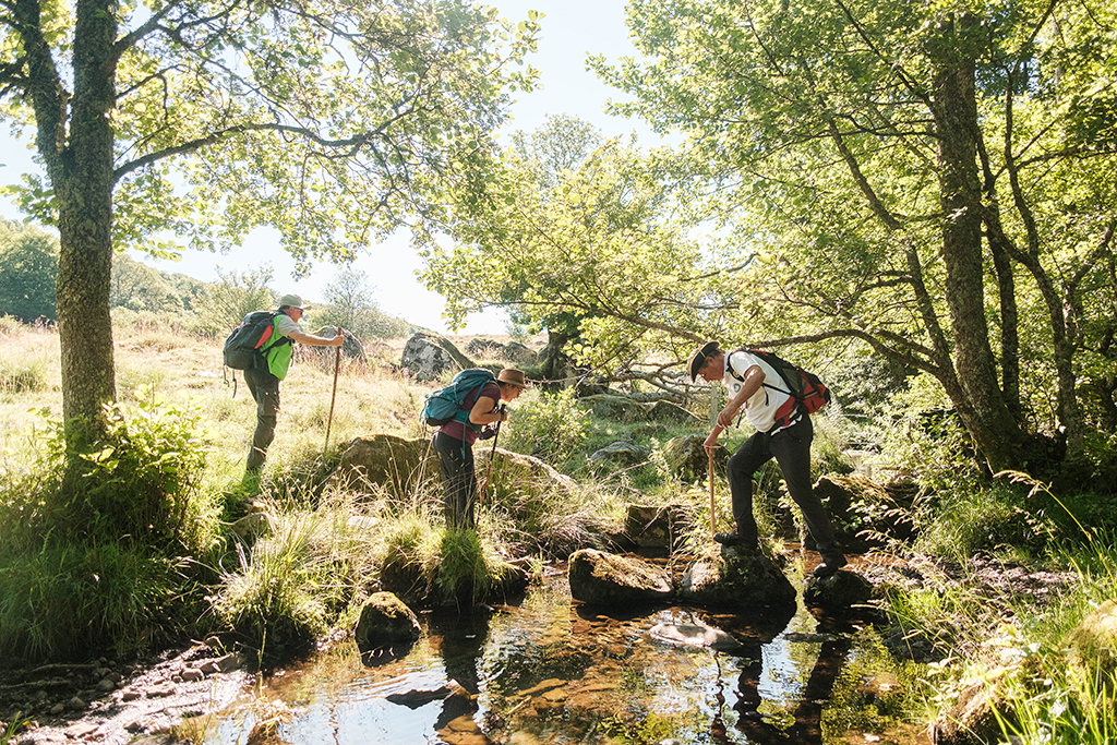 Cours d'eau du site Natura 2000 du Plateau central de l'Aubrac aveyronnais - S. Malgouyres