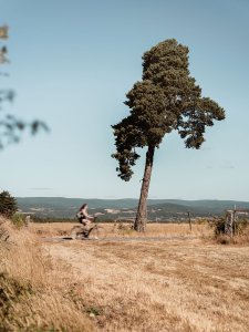 Conférence - A l’aube de 2050, quel tourisme pour quel climat ?