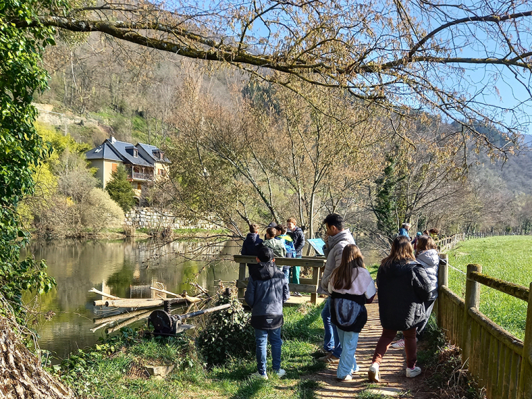 "L’eau, les arbres, sources de vie", l'autre projet École du Parc de l'école des Marmousets