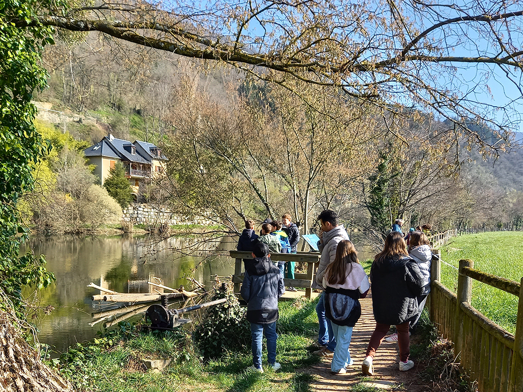 "L’eau, les arbres, sources de vie", l'autre projet École du Parc de l'école des Marmousets