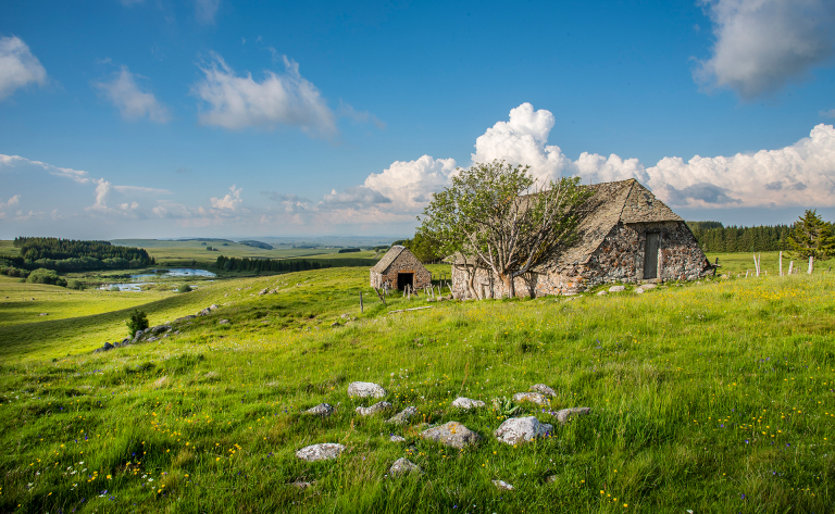 Buron de l'Aubrac - A. Méravilles