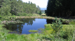 Les insectes du Puy de la Tuile