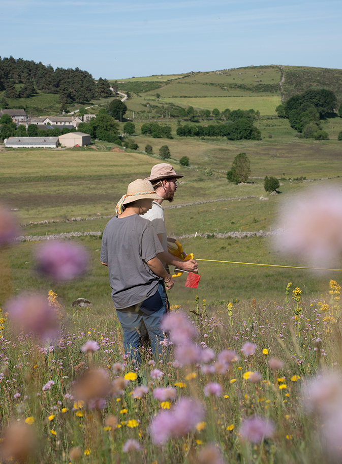 Observatoire des prairies de l'Aubrac - M. Bonal