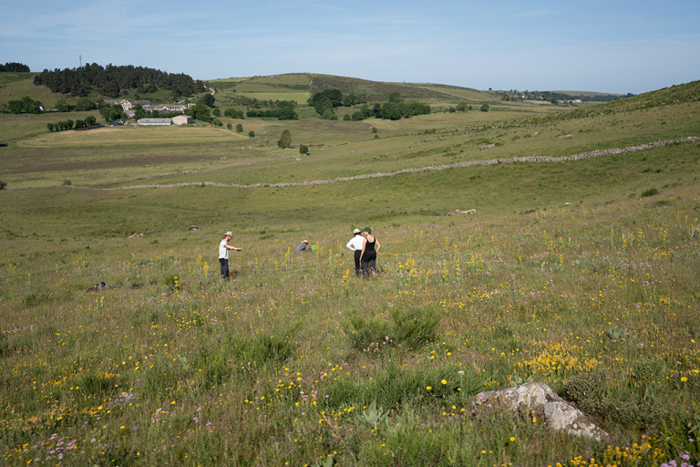 Observatoire des prairies de l'Aubrac - M. Bonal