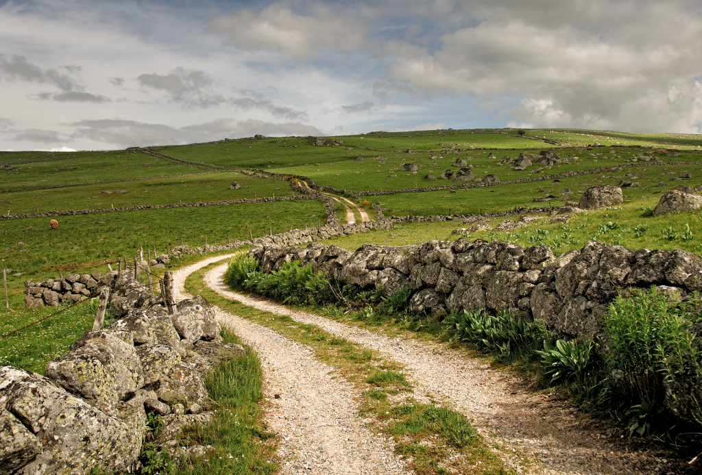 Drailles de l'Aubrac - A. Méravilles