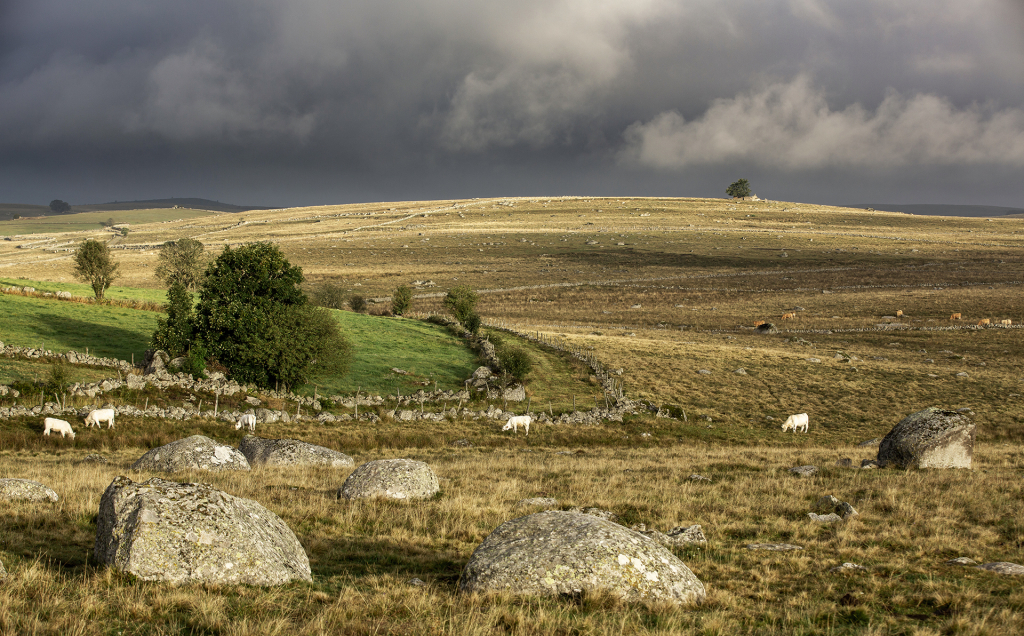 Blocs erratiques et draille en Aubrac - B. Colomb - PACT Aubrac