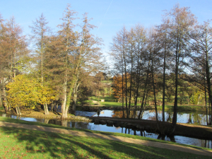 Que se trame-t-il dans la nature à l’automne ?
