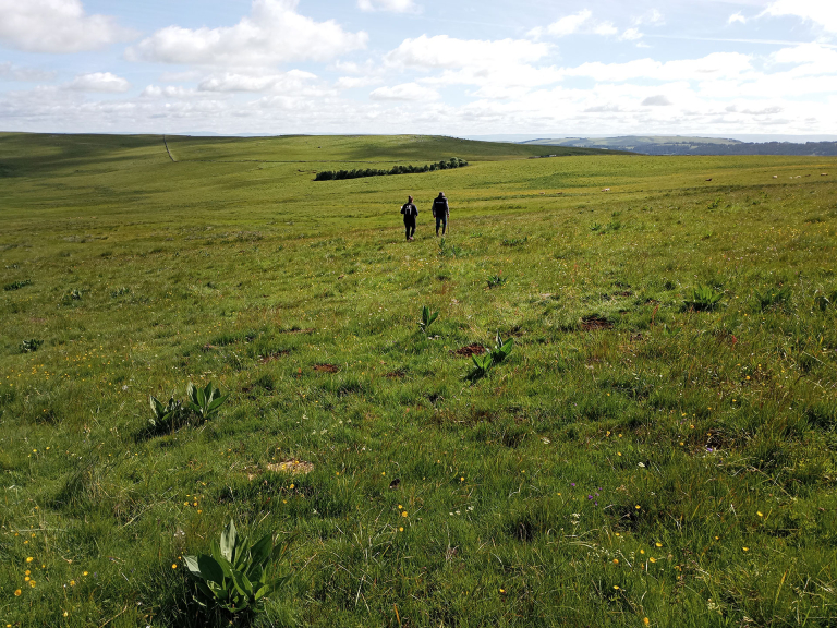 Concours des pratiques agro-écologiques 2026 - PNR Aubrac