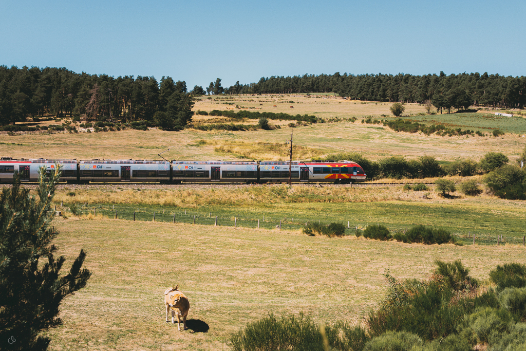 Train de l'Aubrac - Agence Complices