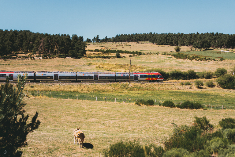 Train de l'Aubrac - Agence Complices