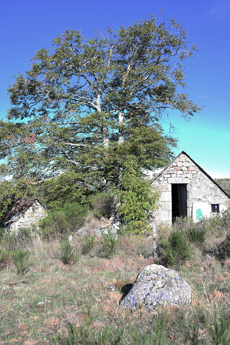 Présentation du Cahier de recommandation pour la rénovation des Burons de l'Aubrac le 15 octobre 2026 au Buron de Bonnechare à Recoules d'Aubrac - PNR Aubrac